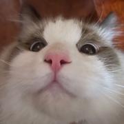 爱听坤曲的个人资料头像