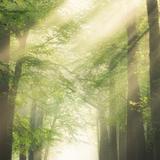 繁昌大润发头像