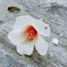 牧野流冰的个人资料头像