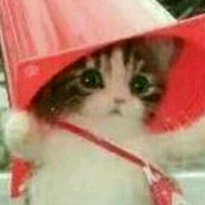 高贵星空oFm头像