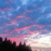 GanHoL的个人资料头像