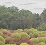 王耀俊86头像