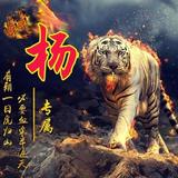 好学风声kNZ头像