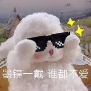 阳光开朗的臭鱼的个人资料头像