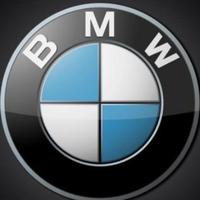 BMW技术总监头像