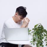 半城817头像
