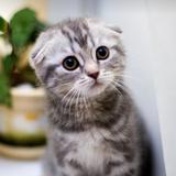 梦醒了谁649头像