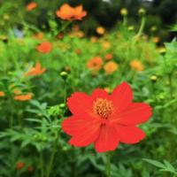 心随车动滴文兄头像