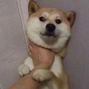 EzswszE的个人资料头像