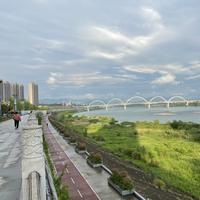 Alice204425196头像