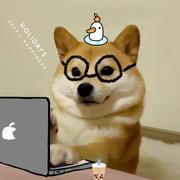 Sunx的个人资料头像