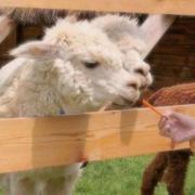 mhznmhz的个人资料头像