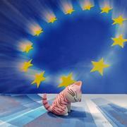 xiaocaomaomi的个人资料头像