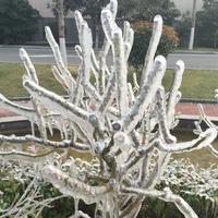 神一般的475头像