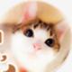 葫芦猫猫猫头像