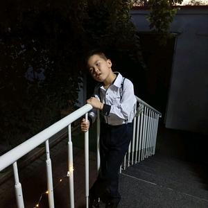 博学多才的博学虎哥头像