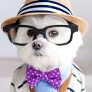 男人需谨慎的个人资料头像