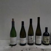 一個黑户的个人资料头像