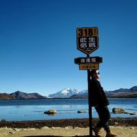 沉着冰淇淋GTh头像