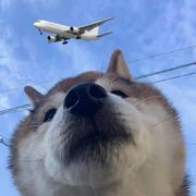 万里青天荡虚空的个人资料头像