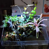 河源市港源水族馆头像