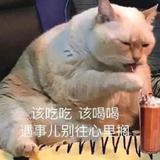 杨怼怼子头像