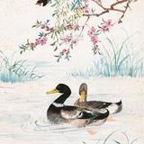 流光奶茶头像