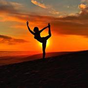 爱家青年的个人资料头像