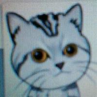 当当可可的家头像