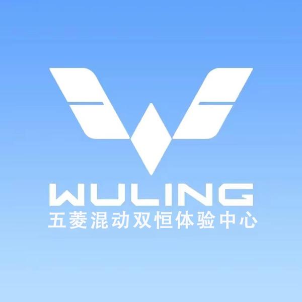 五菱混动双恒体验中心头像