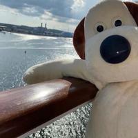 爱车的小白头像