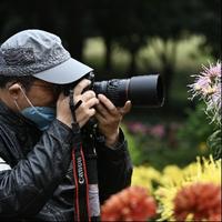 独眼拍天下头像