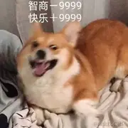 BUG对象的个人资料头像