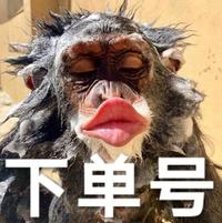A乐少潮牌FK京东便利头像