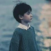 noshsh的个人资料头像