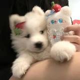 端庄河流Fm头像