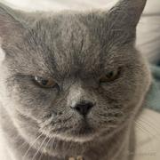 修心修行的个人资料头像