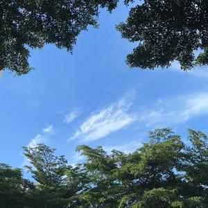 得劲!头像