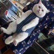 李燃的个人资料头像