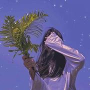 jasmine的个人资料头像