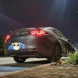 特兰克斯L头像