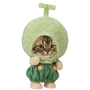 狂飙的张兴发的个人资料头像