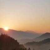 林恩光头像