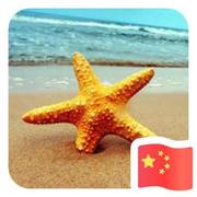 家鹏753的个人资料头像