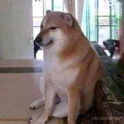 o_O的个人资料头像