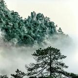 杨永瑞31头像