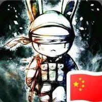 会灰的小浣熊头像