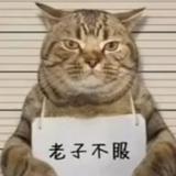 格格小幸运头像