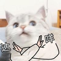 偷腥的猫sky头像