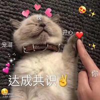 一路向北9248头像